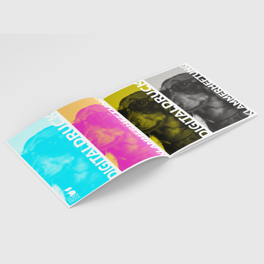 Digitaldruck Broschüren drucken bei Printnow 210x210